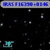 IRAS F16390+0146
