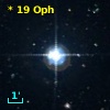 *  19 Oph