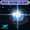 IRAS 16446+0209