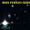IRAS F16424+0202