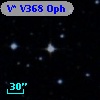 V* V368 Oph