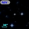 NSV  8133