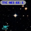 TYC  403-66-1