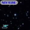 NSV  8186