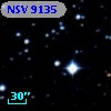 NSV  9135