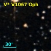 V* V1067 Oph