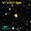 V* V377 Oph
