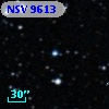 NSV  9613
