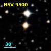 NSV  9500