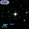 TYC  419-252-1