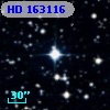 HD 163116