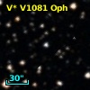 V* V1081 Oph