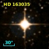 HD 163035