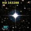 HD 163288