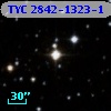 TYC 2842-1323-1