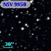 NSV  9850