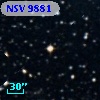 NSV  9881
