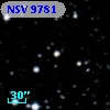 NSV  9781