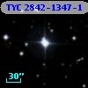 TYC 2842-1347-1
