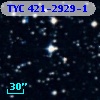 TYC  421-2929-1