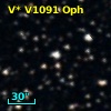 V* V1091 Oph