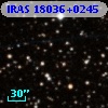 IRAS 18036+0245