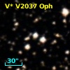 V* V2037 Oph