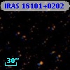IRAS 18101+0202