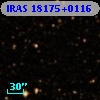 IRAS 18175+0116