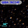 LEDA  202247
