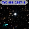 TYC  436-2307-1