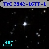 TYC 2842-1677-1