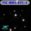 TYC 4601-675-1