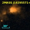 2MASS J18295571+0114315