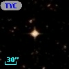 TYC  446-116-1