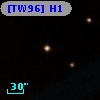 [TW96] H1