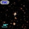 TYC  447-304-1