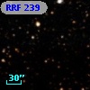 RRF  239