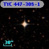 TYC  447-308-1