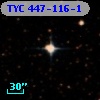 TYC  447-116-1