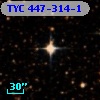 TYC  447-314-1
