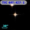 TYC  447-427-1