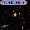 TYC  447-503-1
