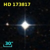 HD 173817