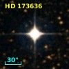 HD 173636