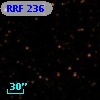 RRF  236