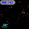 RRF  242