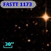 FASTT 1173