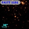 FASTT 1191