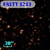 FASTT 1213